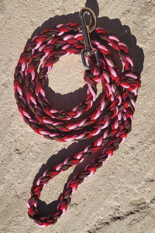 5ft Red Pink Brown Leash