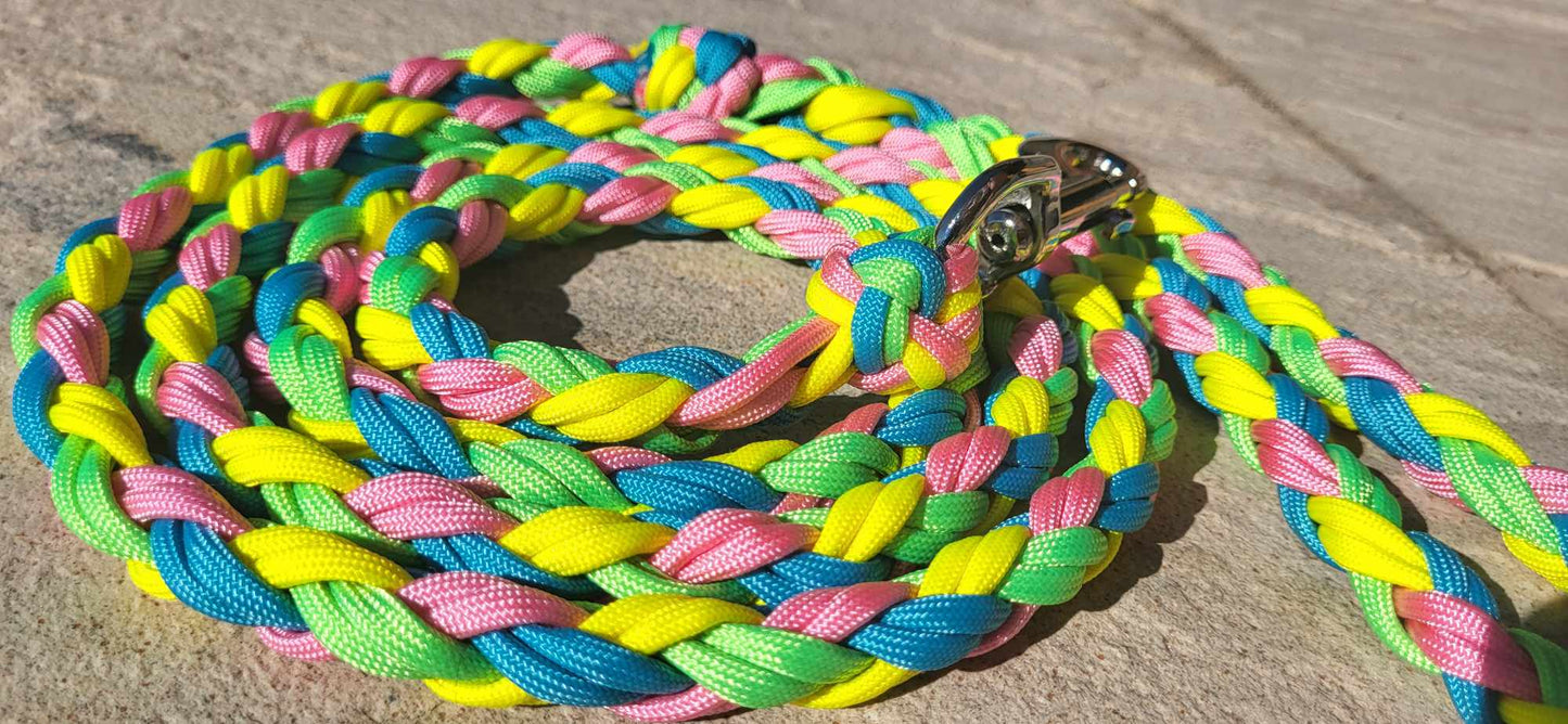 6ft Pastels Leash