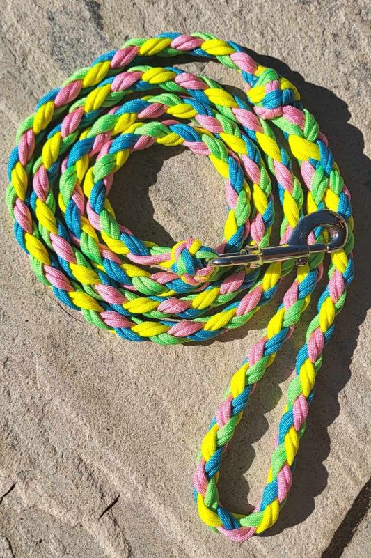 6ft Pastels Leash