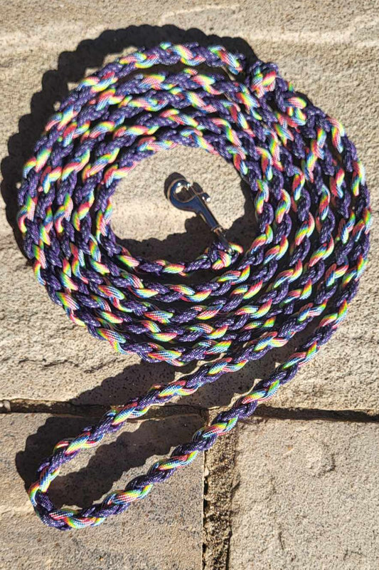 7ft Lightweight Purple Rainbow Leash