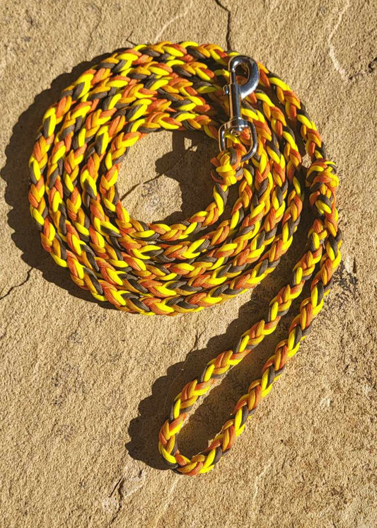 9ft Fall Themed Leash