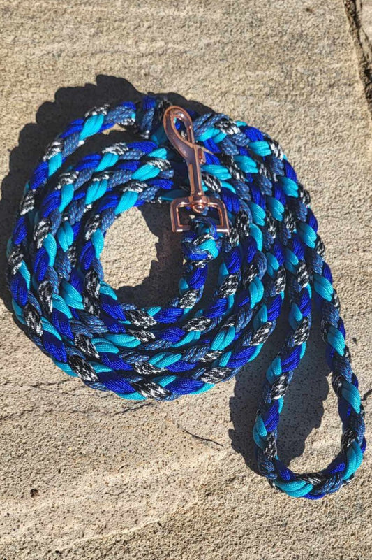 6ft Blue Zebra Leash