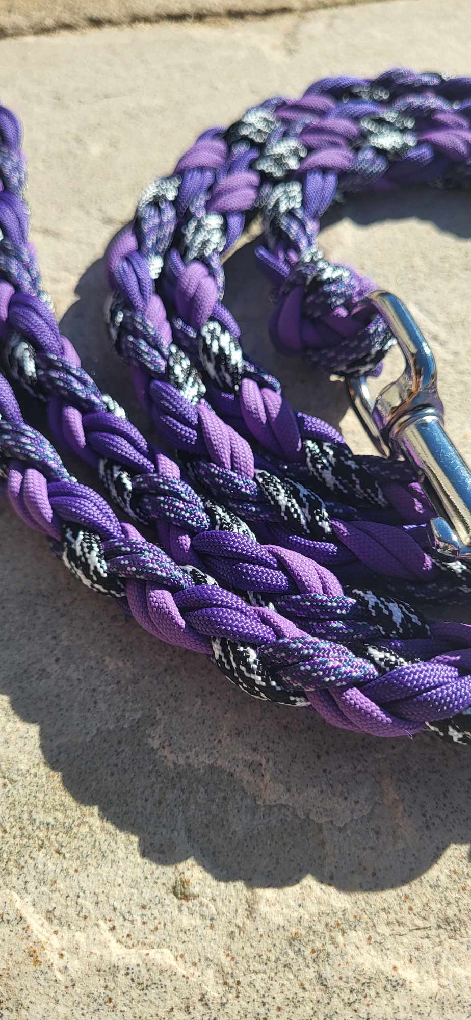 5ft Purple Zebra Leash